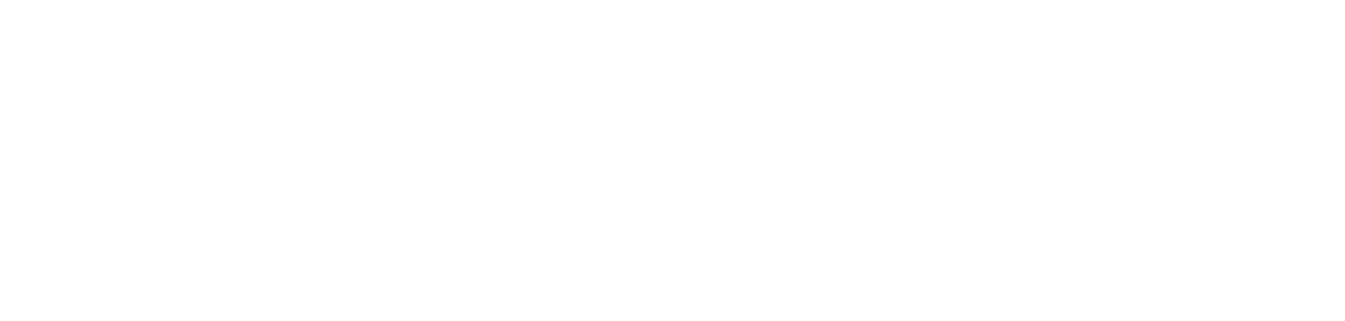 IT4REAL GmbH - Beyond Performance